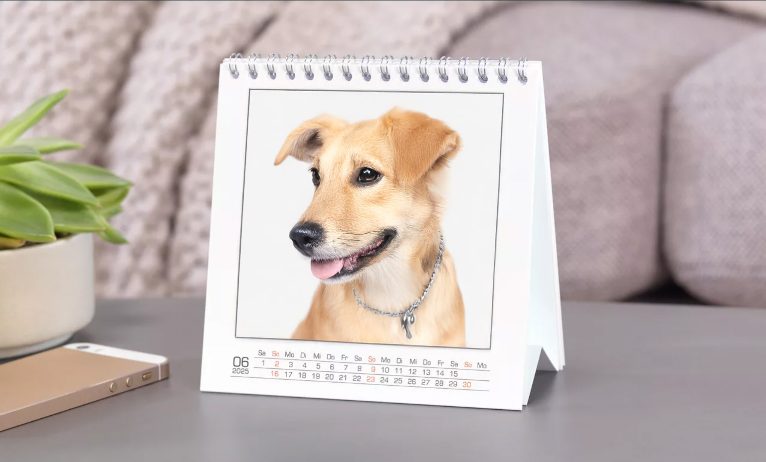 naptár, asztali naptár